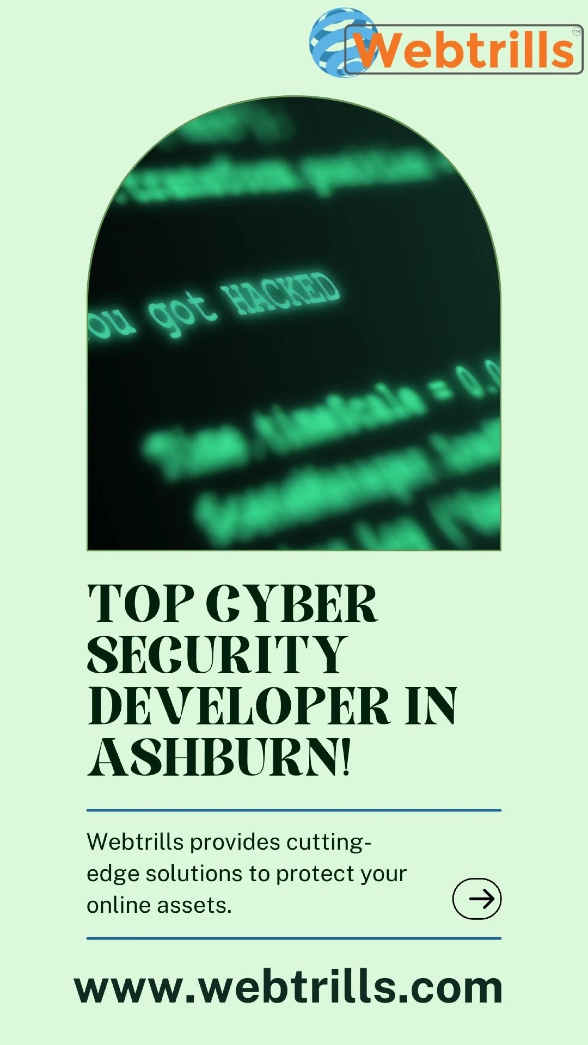 Why Every Ashburn Business Needs a Trusted Cyber Security Developer?