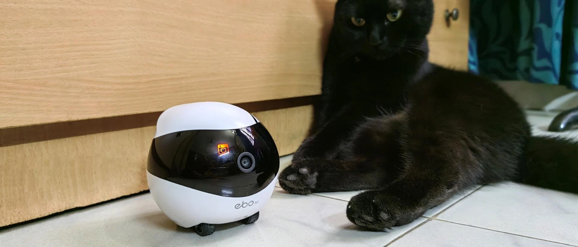 How Enabot Brings Technology and Pet Care Together