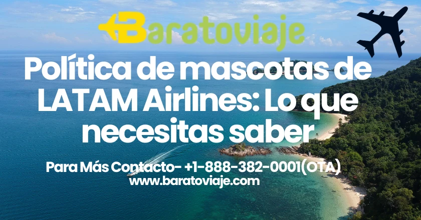 Política de mascotas de LATAM Airlines: Lo que necesitas saber