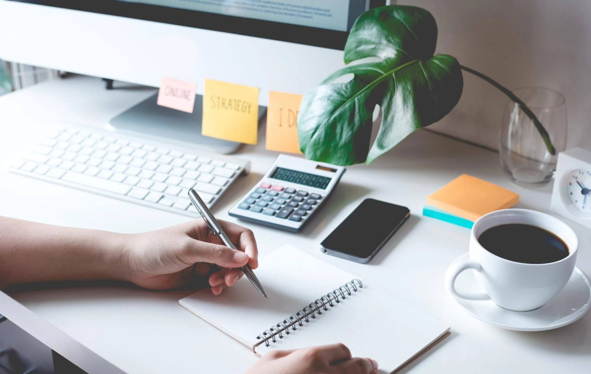 Final Accounts vs Management Accounts: What Every Business Should Know
