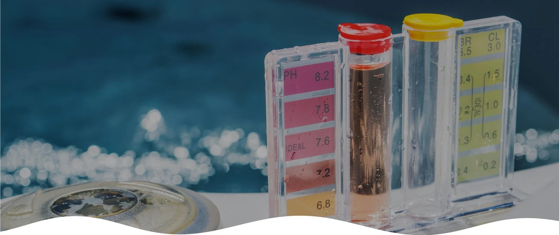 Why Should You Hire a Professional Cleaning Company in Singapore for Swimming Pool Services?
