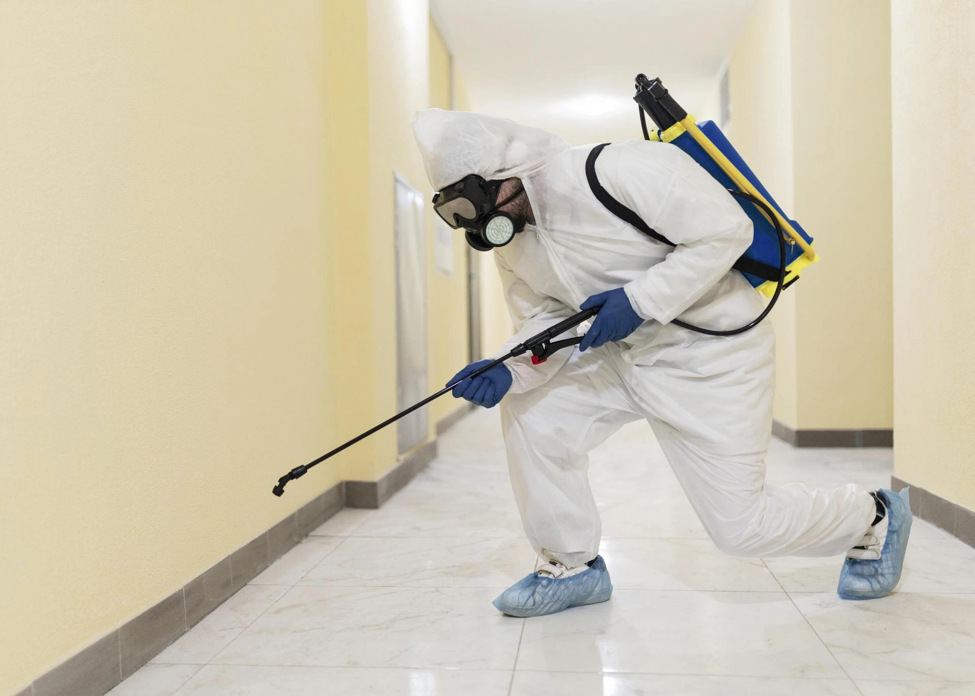 How Regular Pest Control in Point Cook Keeps Your Home Safe and Healthy
