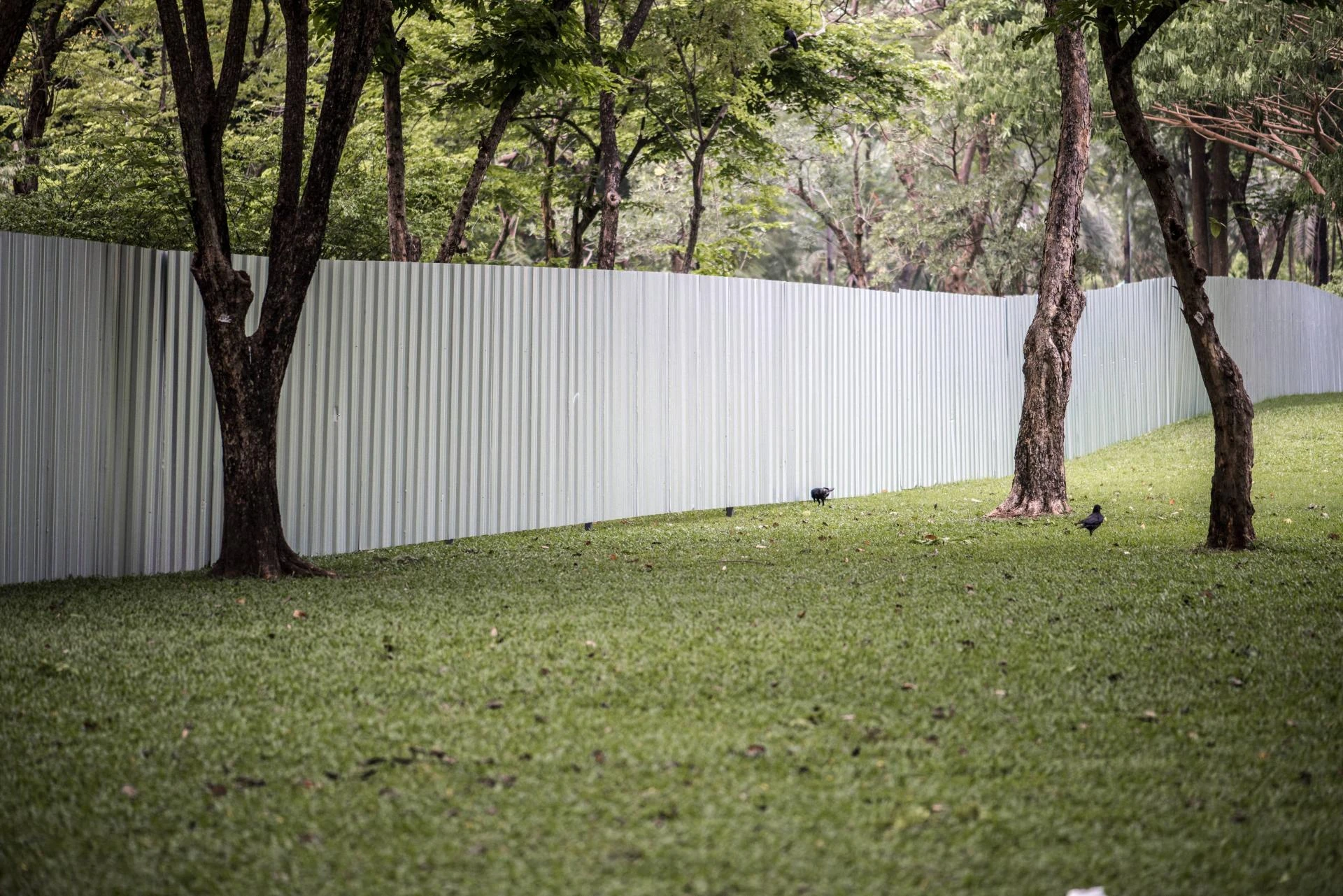 The Real Estate Advantage of Installing a Fence in Buffalo