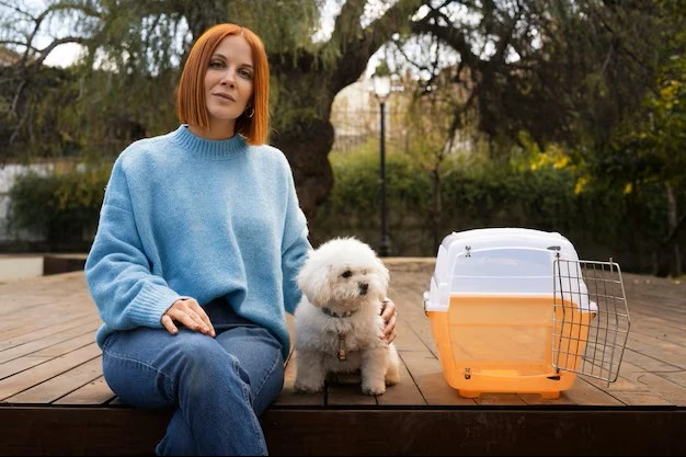 Can You Do It All by Yourself, a Dog Crate for Your Little Four-Legged Friend?