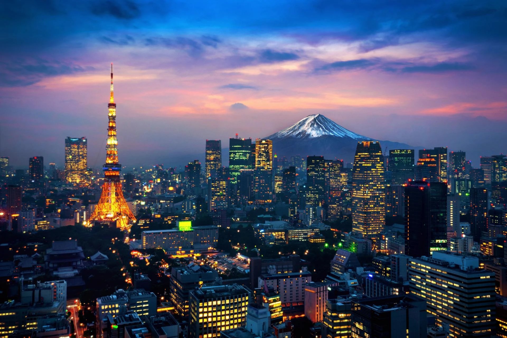 Whispers of Cherry Blossoms: A Journey That Changed Everything