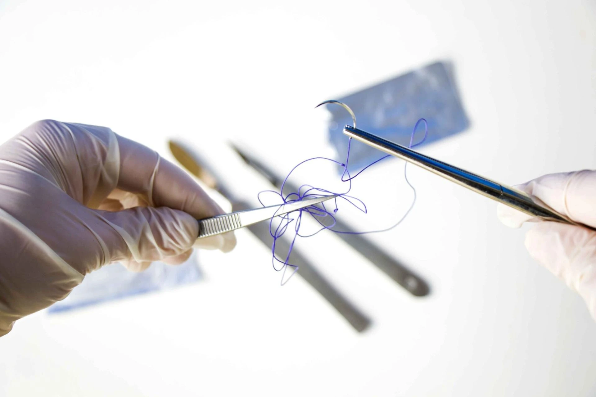 How Veterinary Surgical Supplies Impact the Success of Surgical Procedures