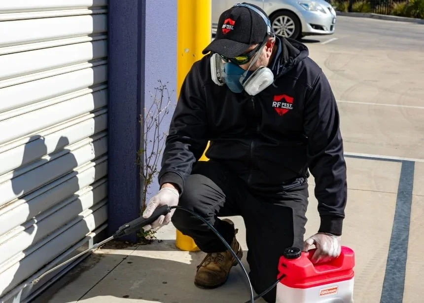 What Are the Best Pest Control Options for Point Cook, Essendon, Kingsville, and Williamstown?