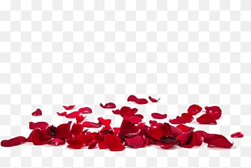 Rose Petal Powder – Unlocking Nature’s Secret for Radiant, Clear Skin