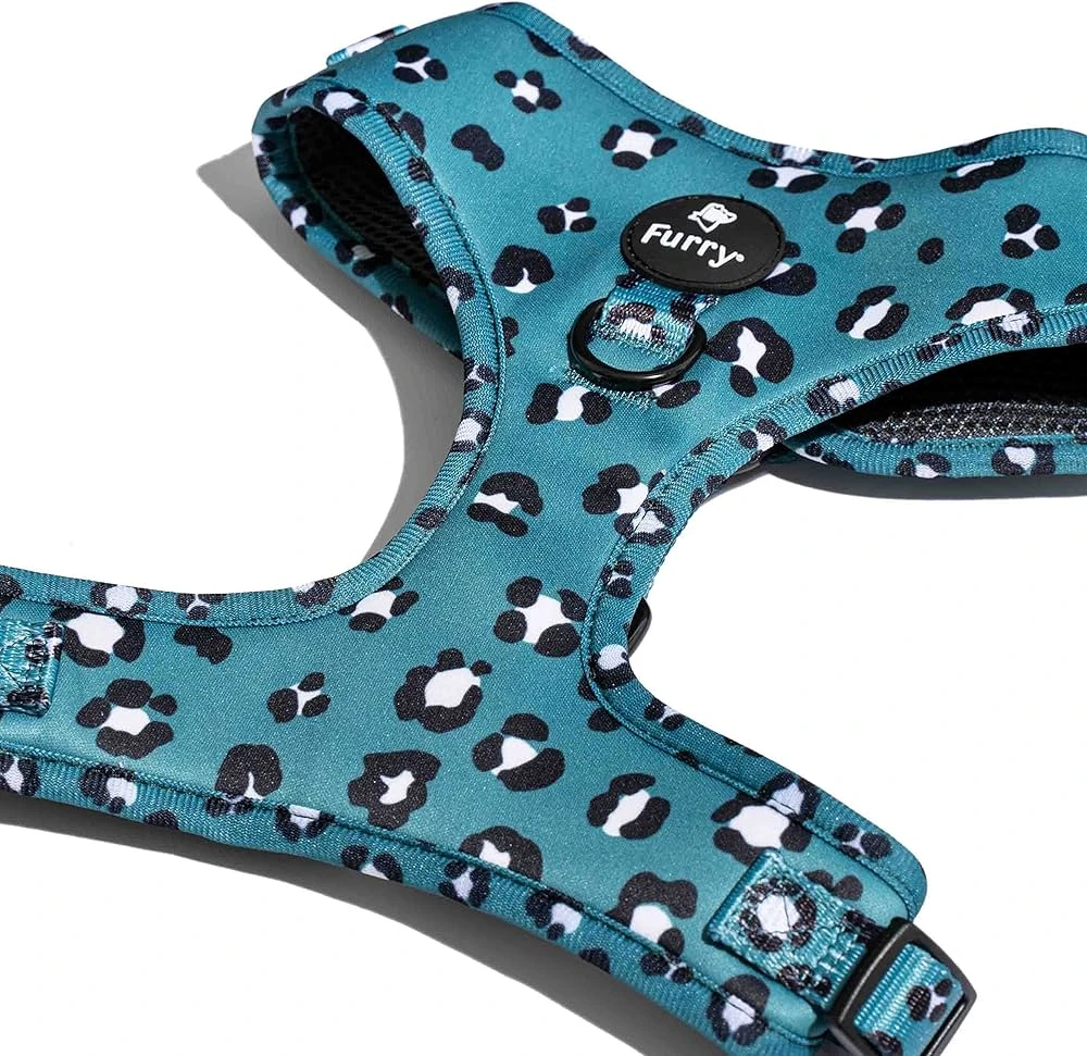 Dog Harness and Leash Set | Comfortable & Durable Walking Gear for Pets