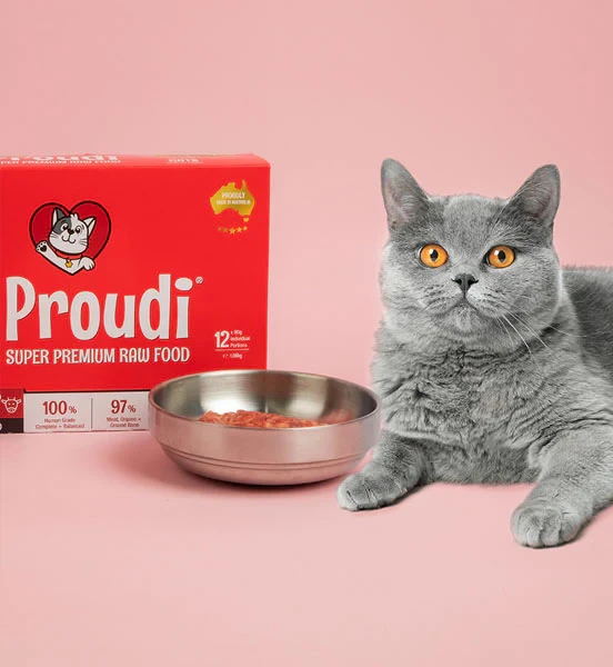 3 Benefits of Feeding Raw Cat Food in Australia