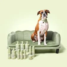 What's The Right Shampoo For Dogs Dealing With Dry Skin?