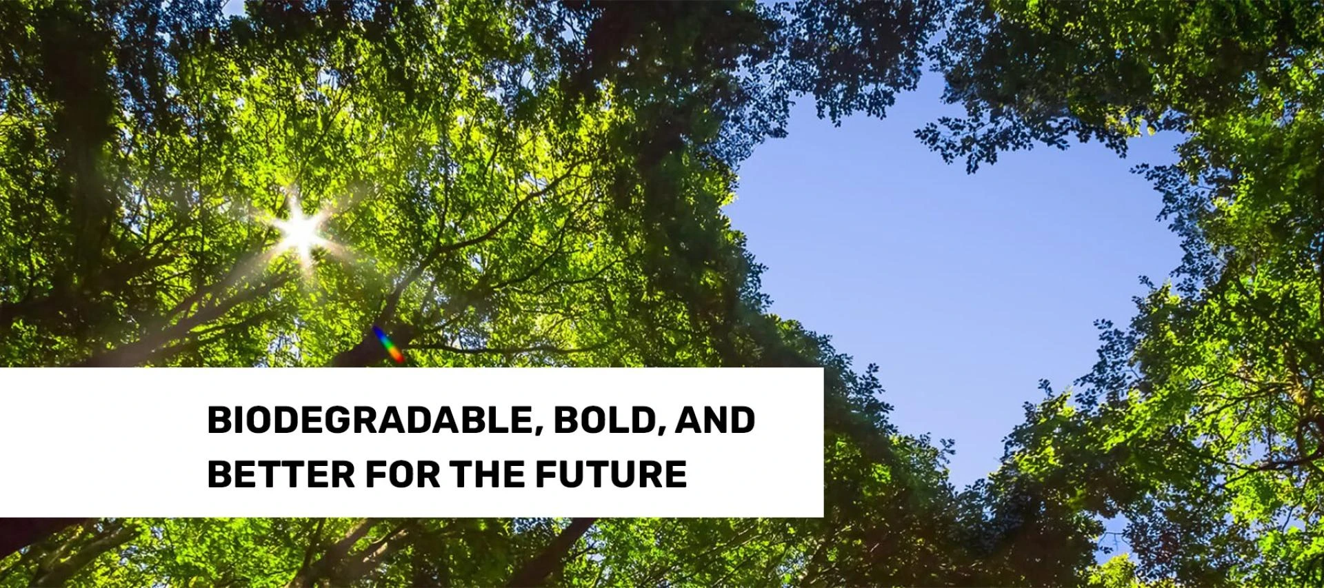 Sustainable Promotional Products - Why Eco Friendly Promotional Items Are the Future of Branding