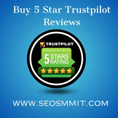 Exploring the Top 5 Star Reviews in the Netherlands: A Trustpilot Guide