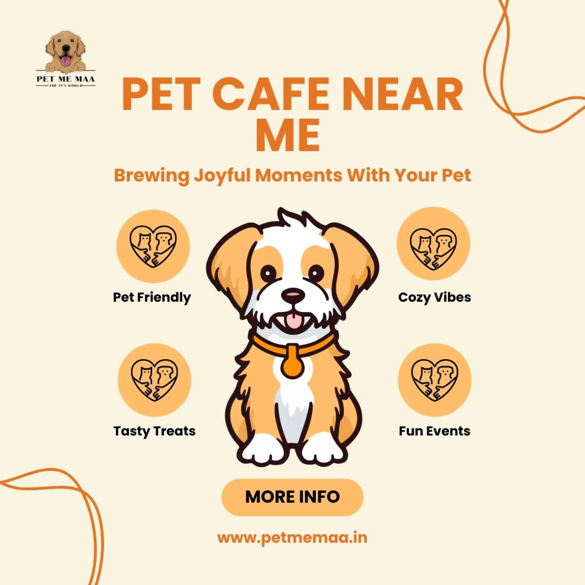Looking for a Pet Cafe Near Me? Here’s Why Pet Me Maa Is Your Furry Friend’s Perfect Spot