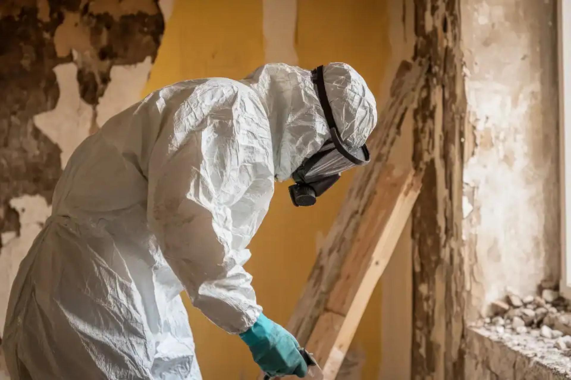 Cost of Asbestos Removal: What Factors Affect Pricing?