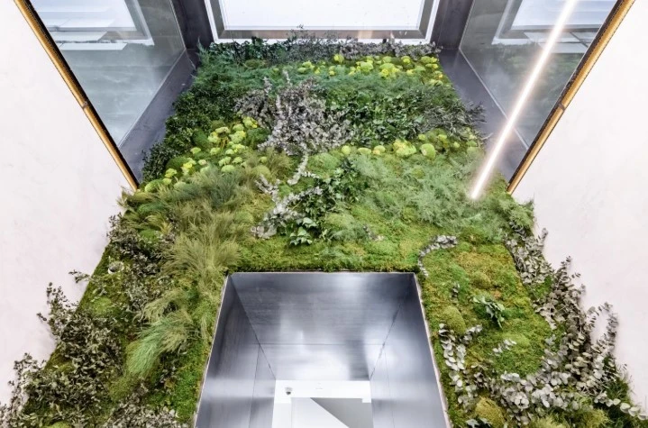 Jardín Vertical – Diseño, Innovación y Naturaleza en tu Hogar o Negocio
