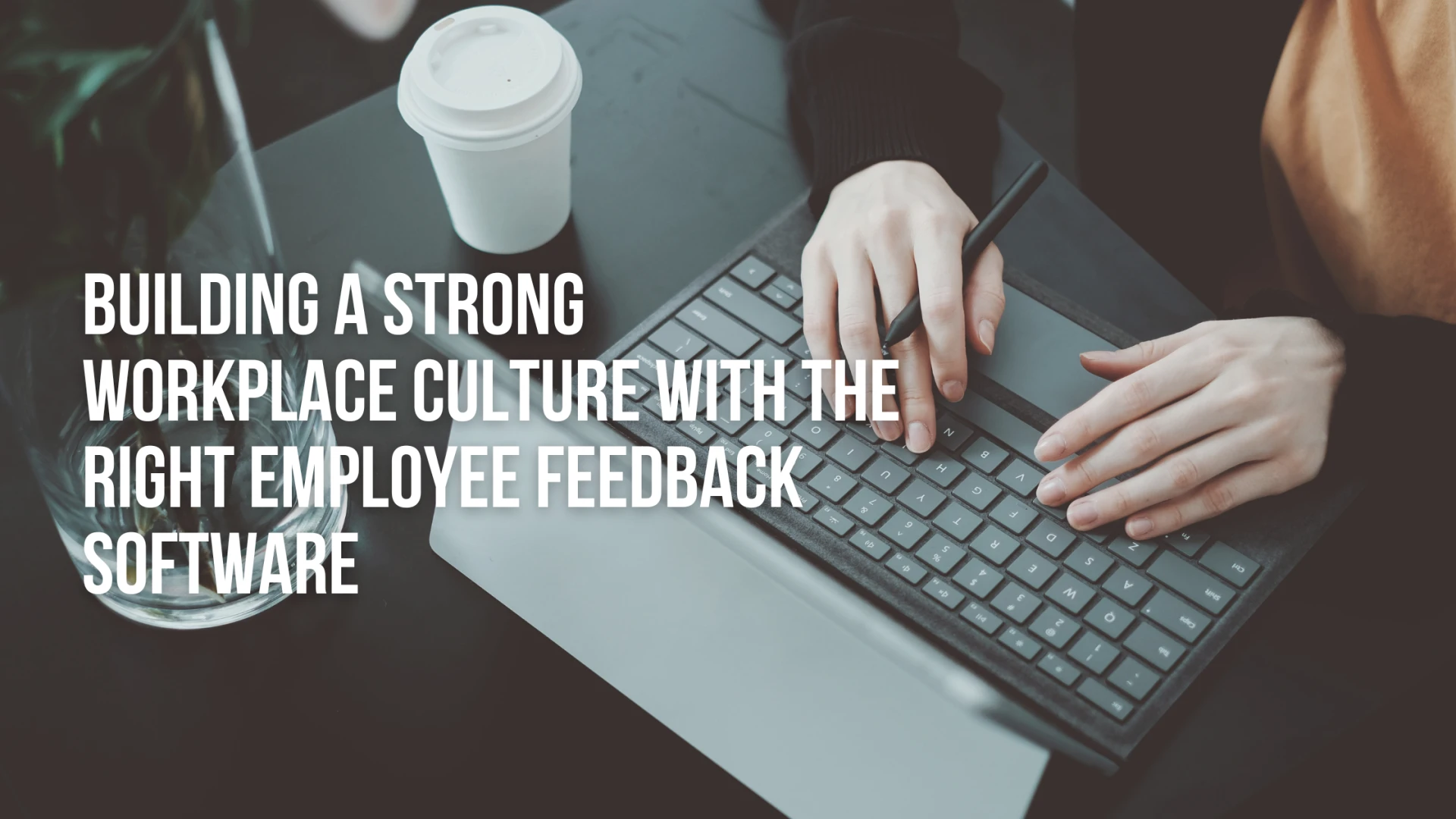 Building a Strong Workplace Culture with the Right Employee Feedback Software