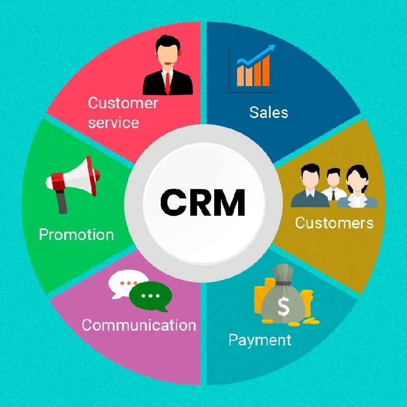 Boost Your Dental Practice Overnight: How Live Chat, Stunning Websites & Custom CRM Drive Patient Growth