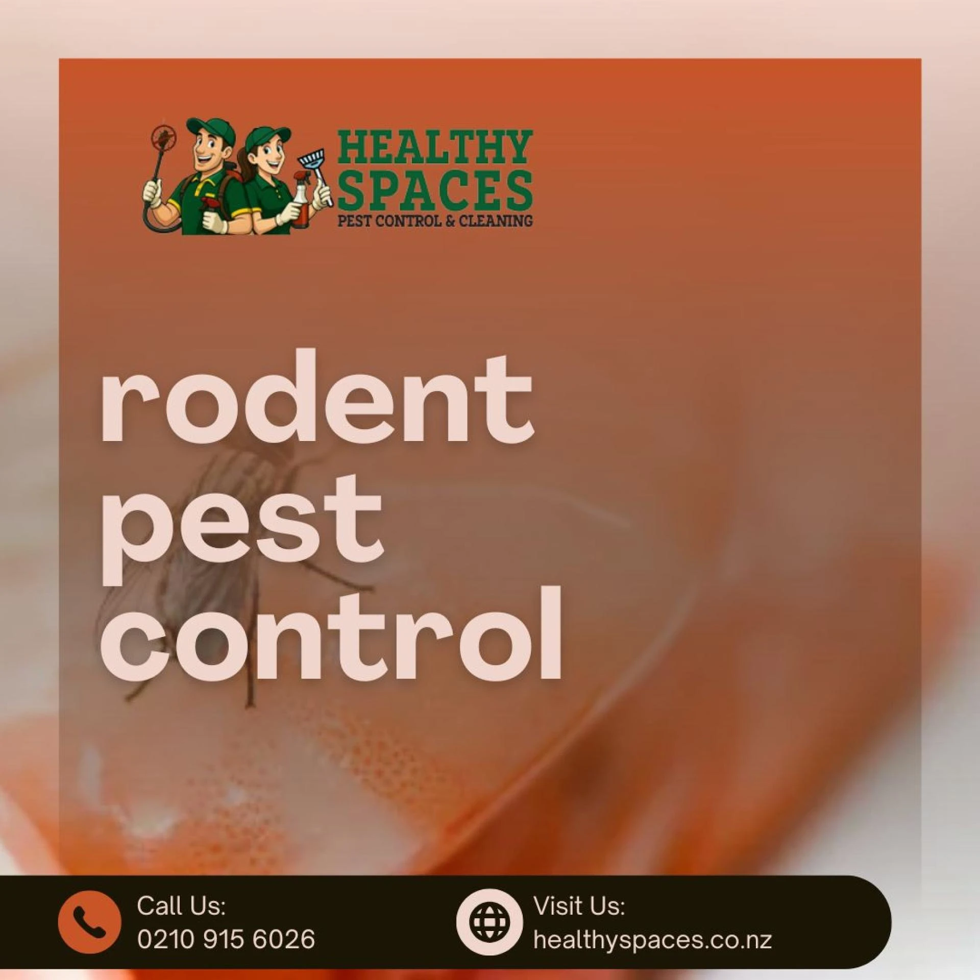Keep Your Home Safe: The Ultimate Guide to Effective Rodent Pest Control