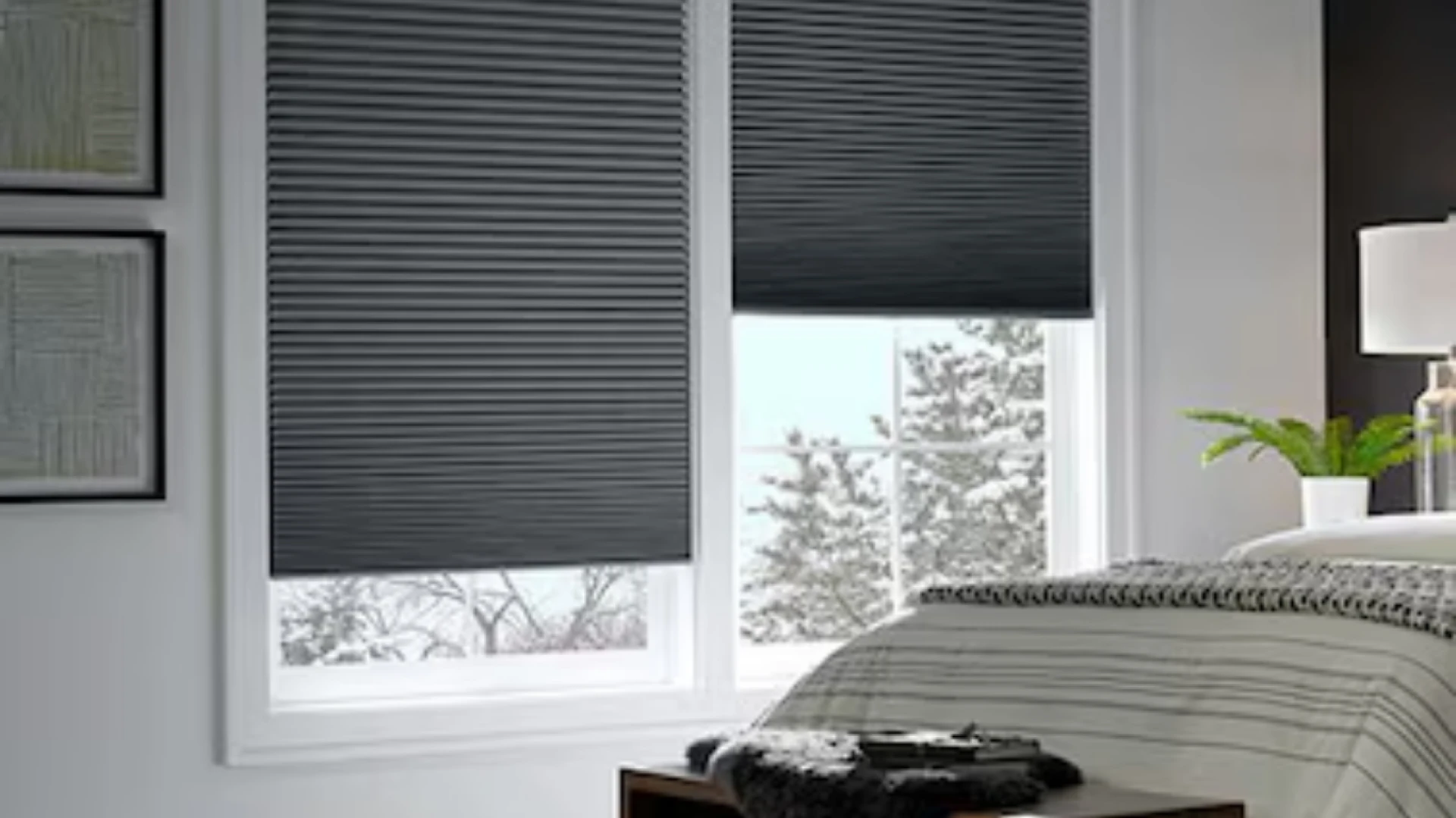 Blackout Blinds: The Ultimate Solution for Total Darkness