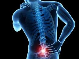 What to Expect During Your Consultation With a Neurosurgeon in Los Angeles