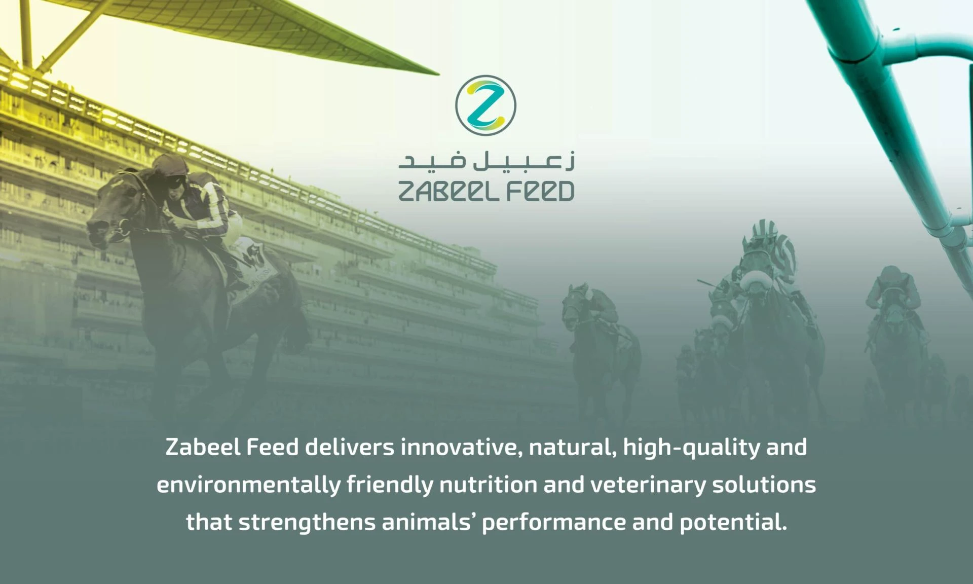 Tips for Selecting the Best Horse Supplements