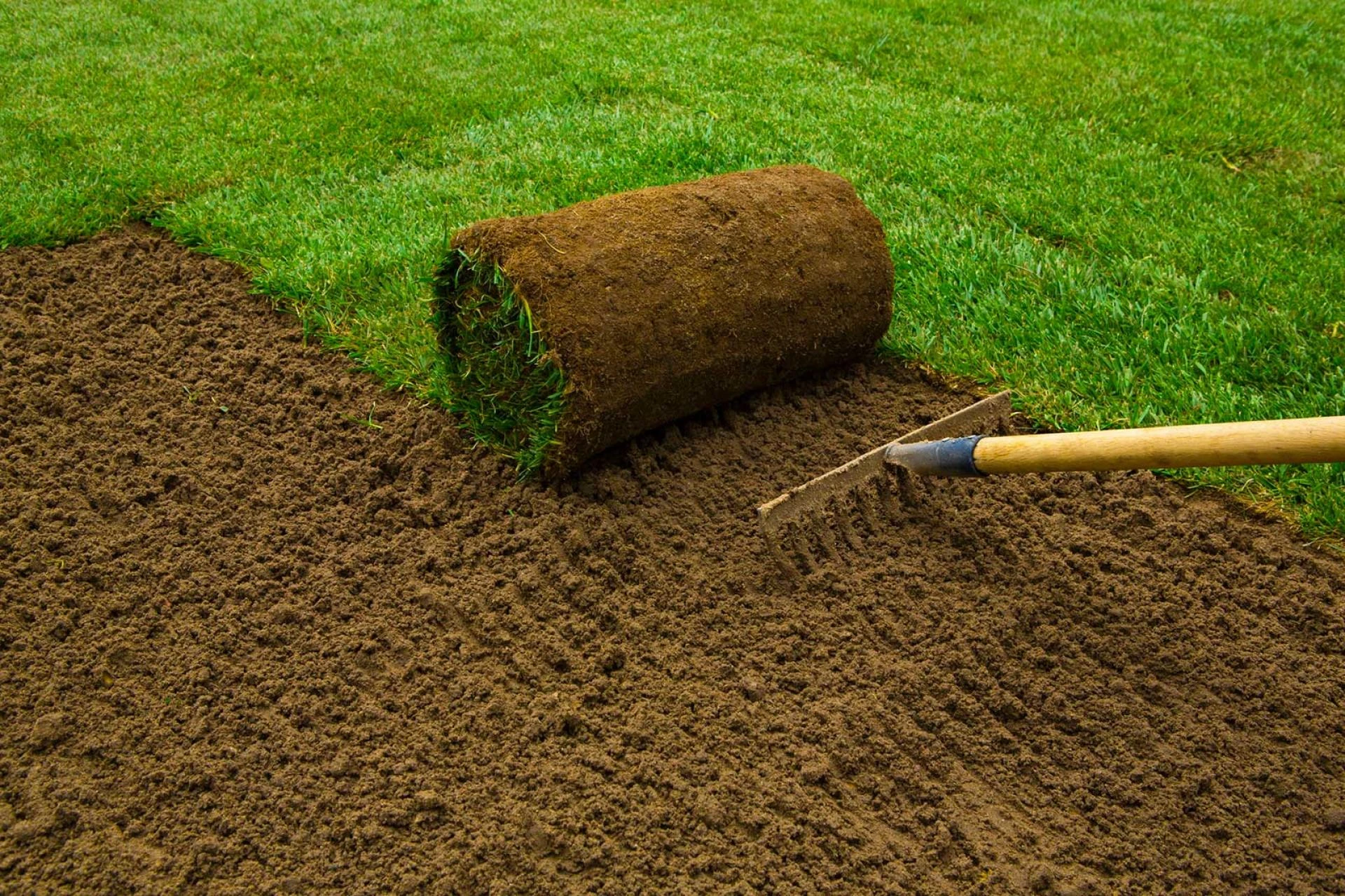Top 10 Benefits of Installing an Artificial Lawn in Your Garden