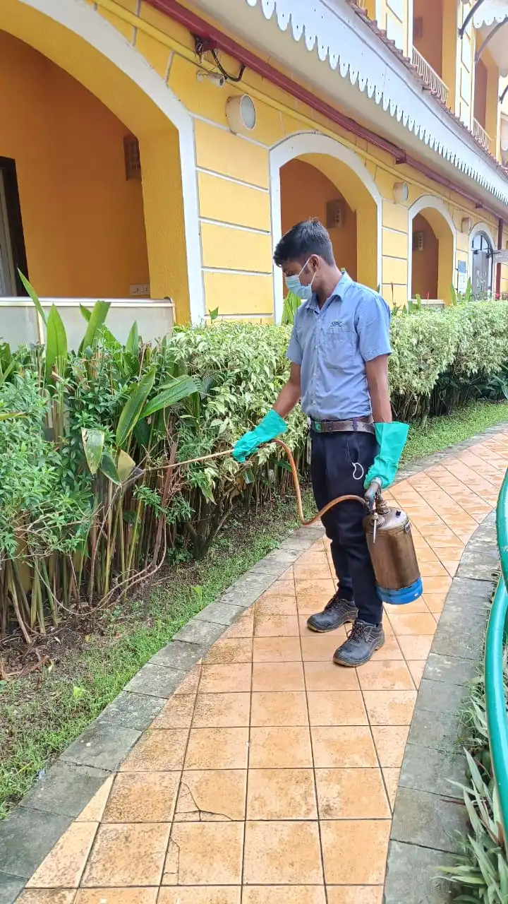  Why Pest Control Is Important for Hotels, Resorts & Homestays in Goa