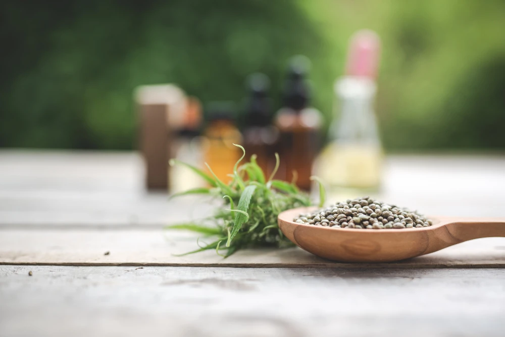 The Growing Popularity of Hemp Products in India: A Nutritional Revolution