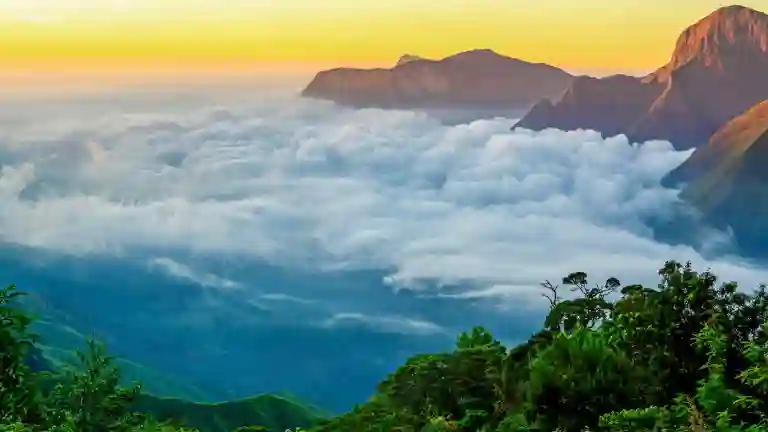 Unforgettable Journeys: Exploring God’s Own Country Through the Best Kerala Tour Packages