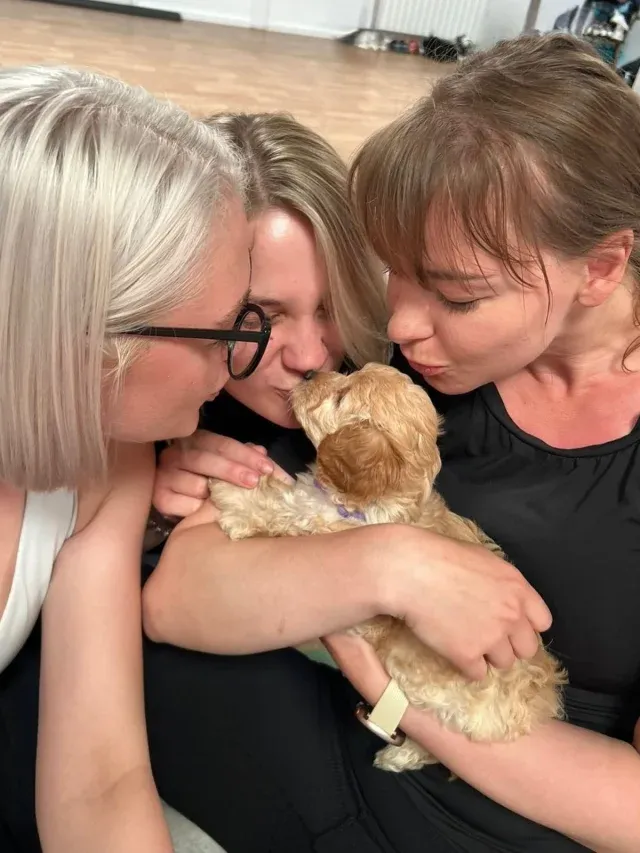 Puppy Yoga Ipswich: A Wellness Trend Redefining Relaxation with The Paw Studio