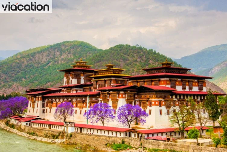 How to Plan a Perfect Bhutan Trip: Routes, Costs & Best Time to Visit