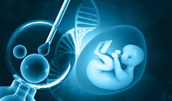  The Role of Sperm Morphology and DNA Fragmentation in ICSI Success
