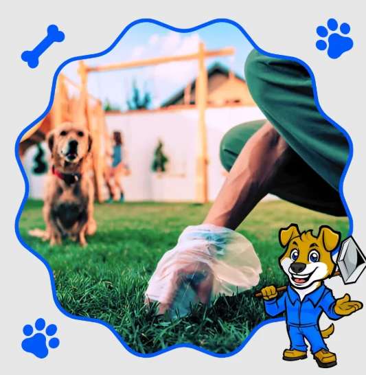 Keeping Your Yard Clean and Happy: Why Dog Owners in DFW Love Scoop‑Doggy