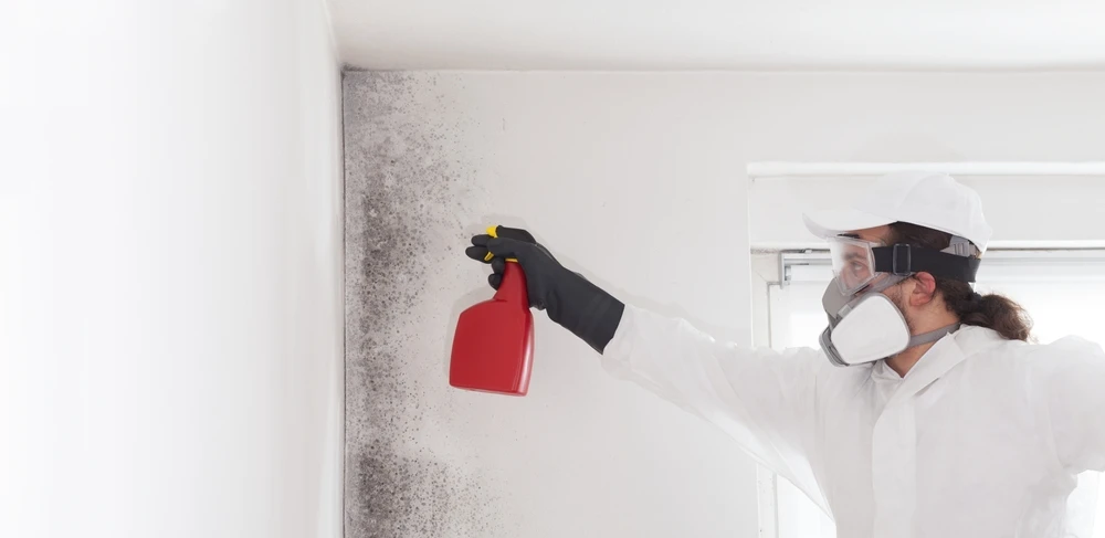 Debunked: 7 Common Myths About DIY Mold Removal You Need to Ignore (And Why Professionals Are Essential)