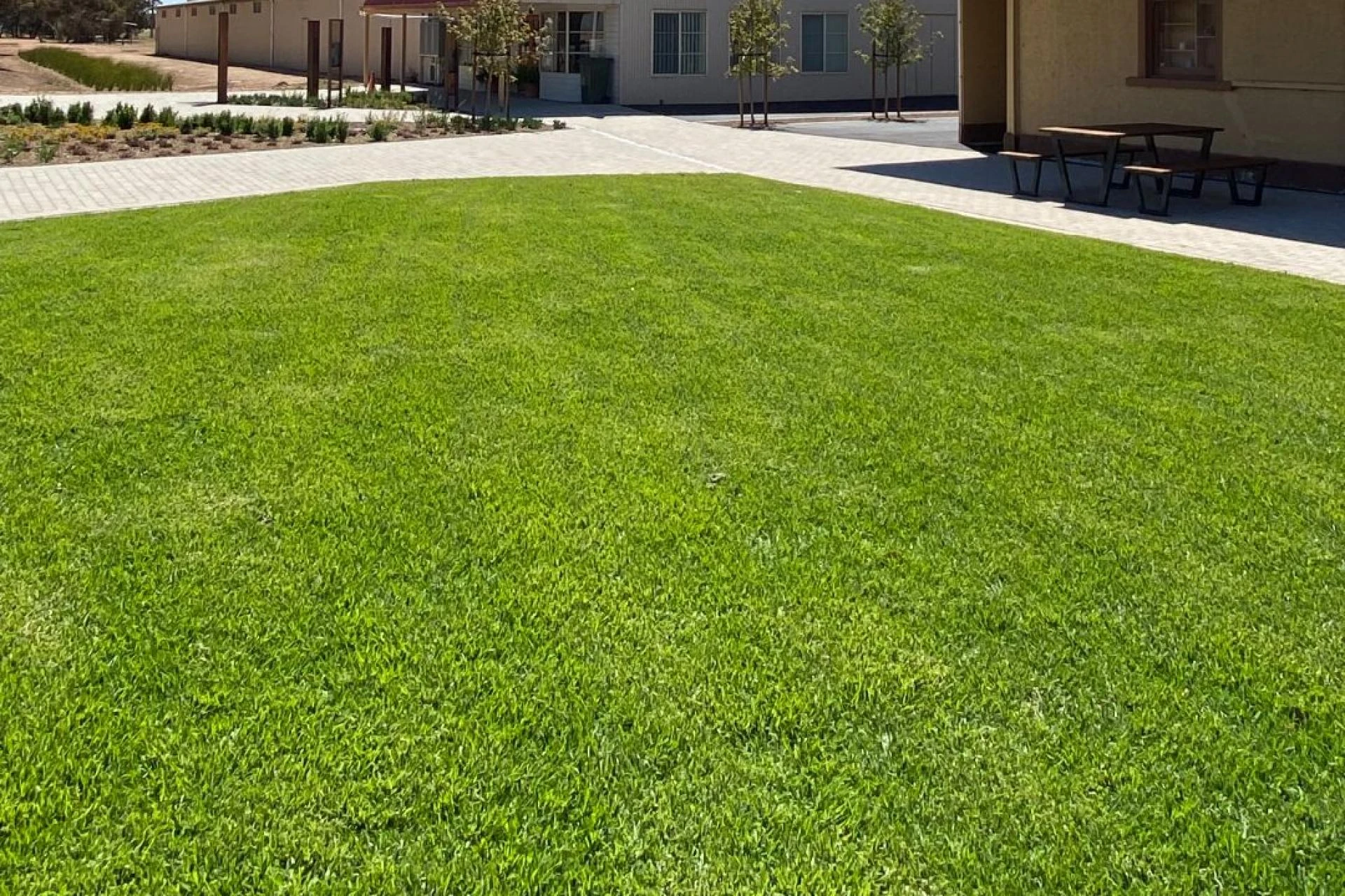 How to Select the Best Lawn Type for Adelaide’s Climate and Soil