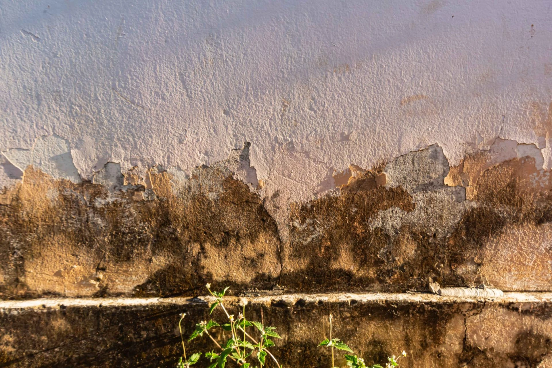 5 Hidden Moisture Problems That Grow in Winter