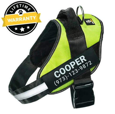 Non Pull Dog Harness for Better Control and Comfortable Walks