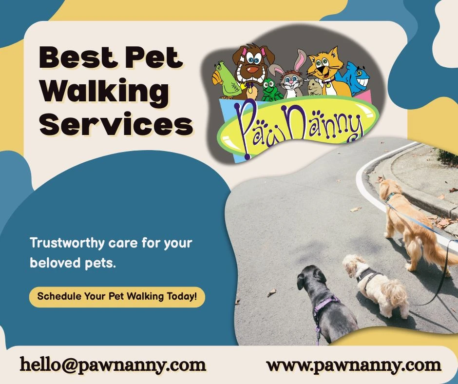 Choosing a Reliable Midday Pet Walking Service: Key Factors and Tips 
