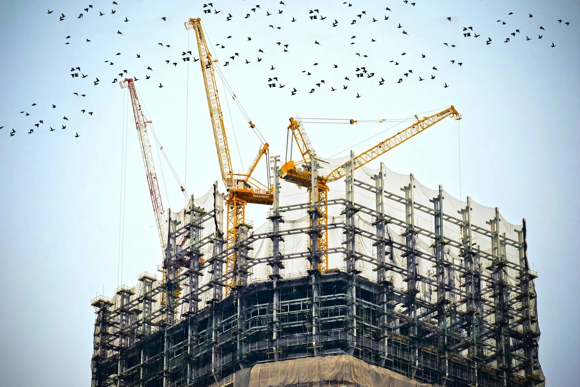 The Hidden Wonders of Modern Construction You Never Knew