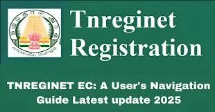 Online EC: Simplifying Voter Services and Election Management