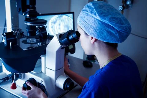 Top Qualities That Define the Best IVF Doctor