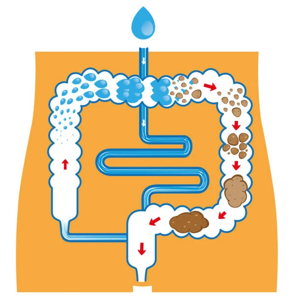 Is Colon Irrigation Safe? Exploring Its Health Benefits