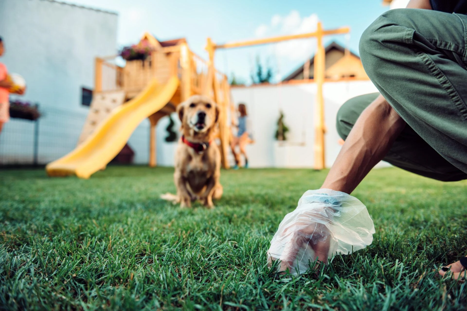 The Essential Guide to Dog Poop Scooper Services: Discover Hooper Pooper Scooper