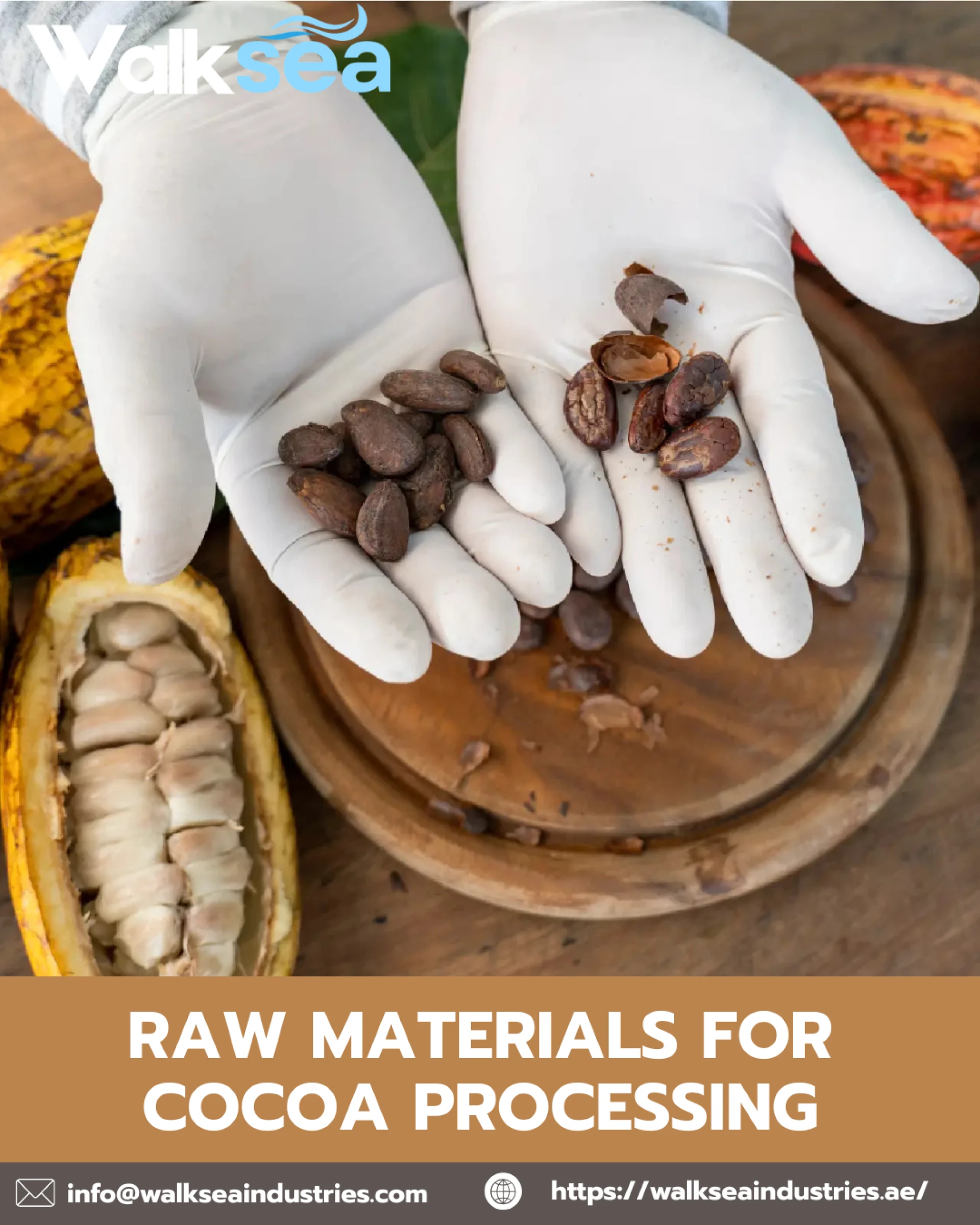 Why Cocoa Sourcing Has Become a Daily Concern for Chocolate Factories in Iran