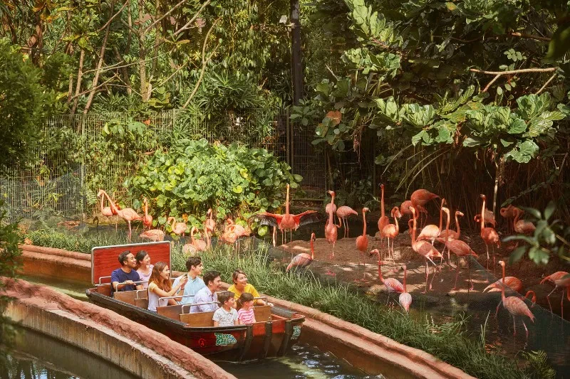 Singapore Tourist Pass: Your Key to Seamless Travel