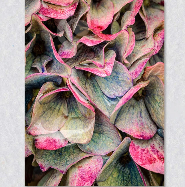 Pastel Wall Art: Soft Elegance That Transforms Your Space