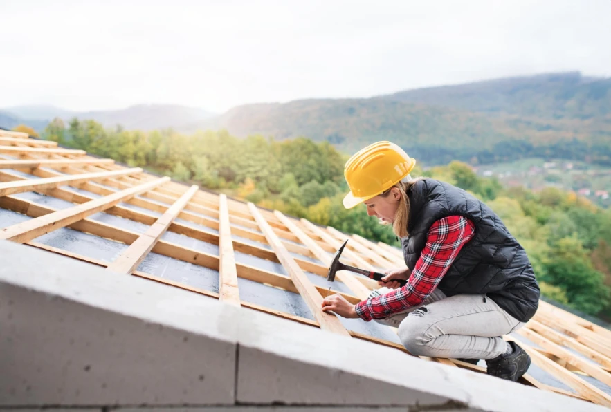 Beyond the Stamp: Why Certified Heat-Treated Lumber Matters More Than Ever