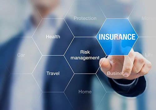 Insurance for Tree Trimmers – Protecting Your Tree Service Business from Top to Roots