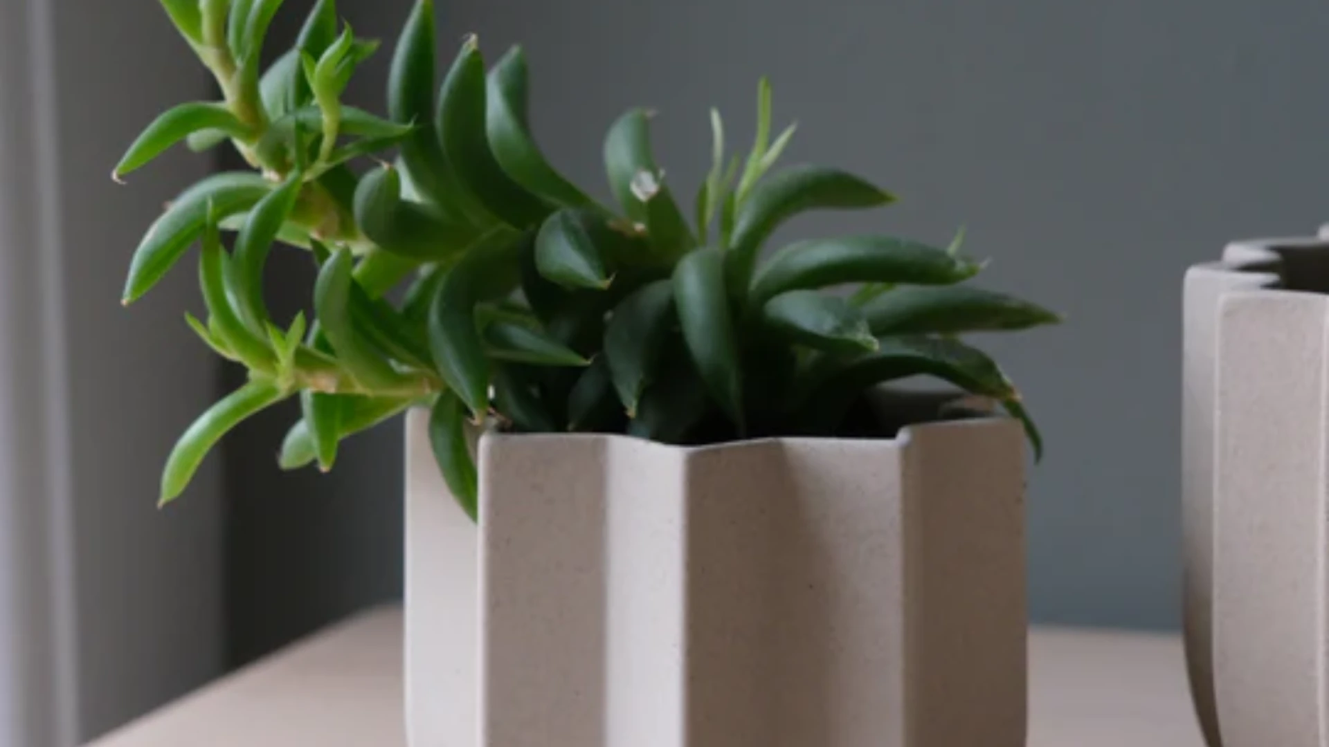 Thoughtful Design for Modern Homes: How Mise Well Elevates Everyday Living